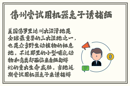 芒果视频看片版在线下载